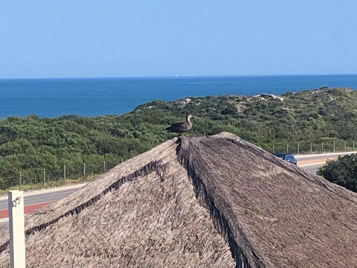 דירות פרת'' Ocean Reef Vista